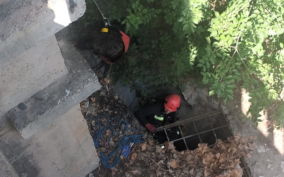 Los bomberos de Linares rescatan a dos perros atrapados en un puente de la Estación Linares-Baeza