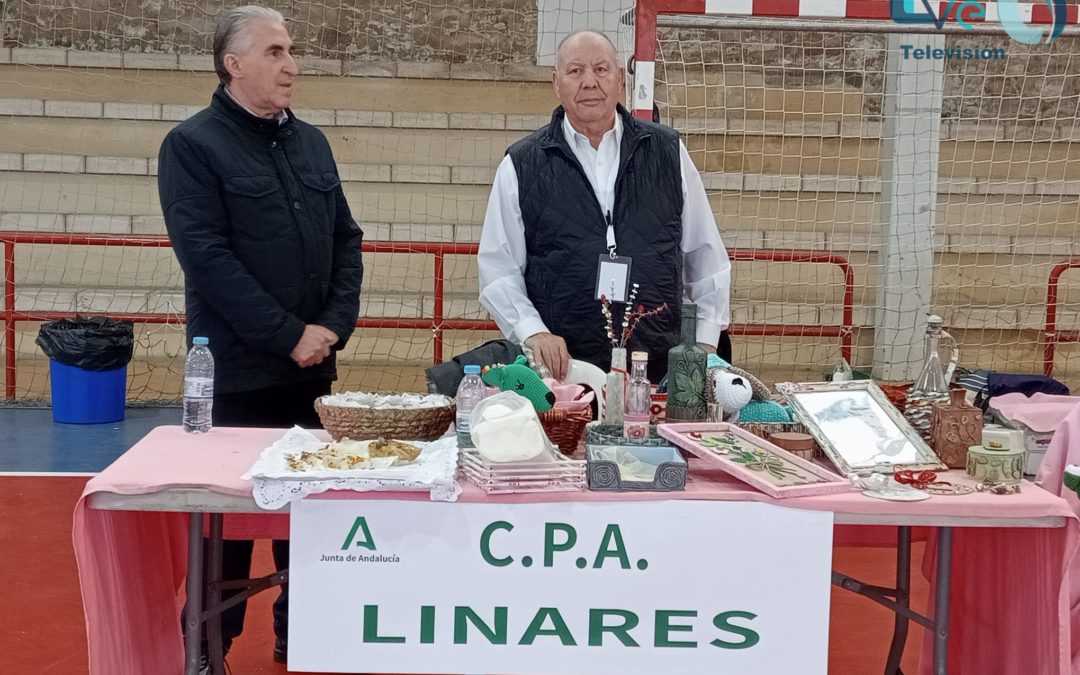 Más de 500 mayores de toda la provincia se dan cita el Linares