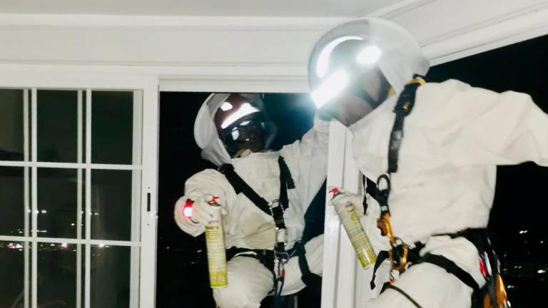 Los Bomberos de Jaen eliminan un nuevo nido de avispa asiatica