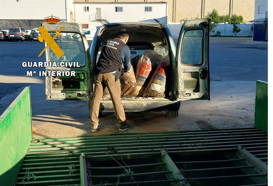 La Guardia Civil desarticulada una banda organizada, presuntamente dedicada a la sustracción de aceituna.