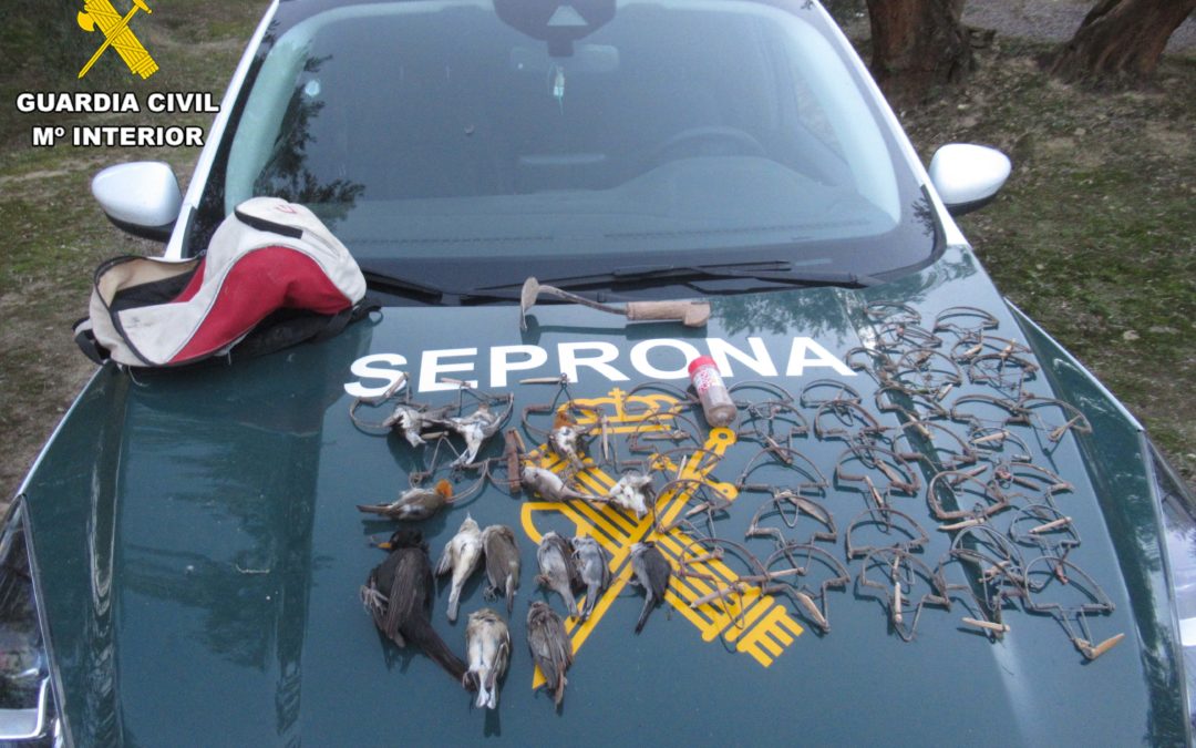 La Guardia Civil investiga al presunto autor de un Delito Contra la Flora y Fauna.