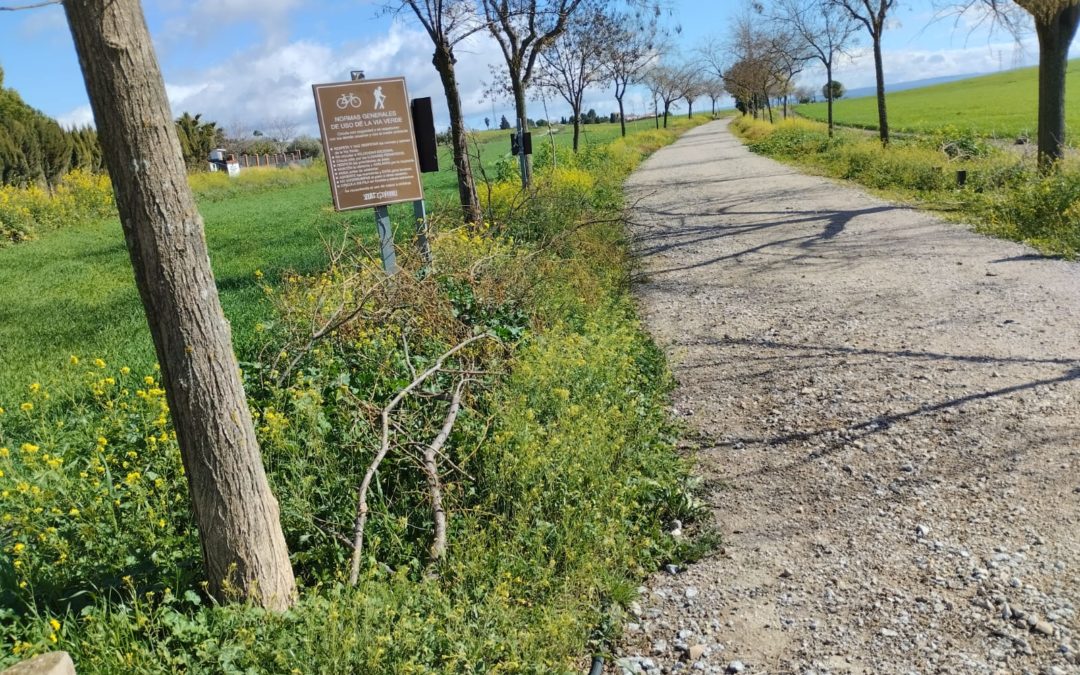 El PSOE de Linares denuncia el estado preocupante de la Vía Verde de Linares: restos de poda sin recoger y uso de herbicidas sin notificación a usuarios