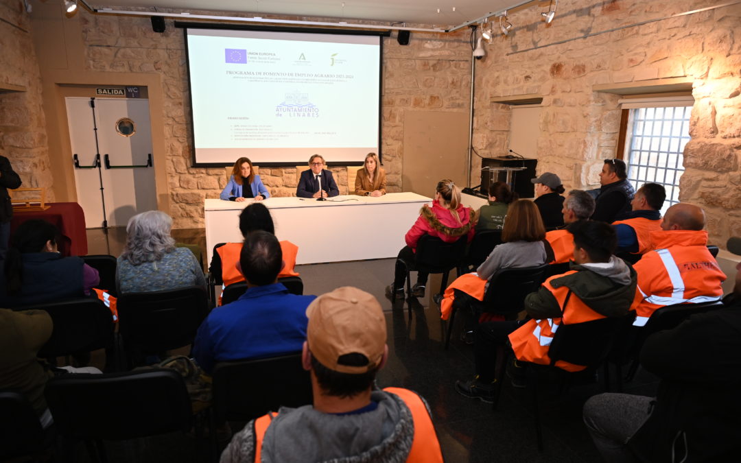 El Ayuntamiento impulsa la adecuación funcional de las calles Tetuán y Calatrava con el PFEA