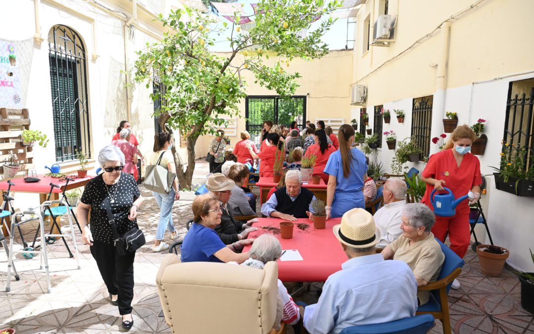 Usuarios del Centro de Día Aura Las Mercedes participan en la actividad de dinamización ‘Una planta, una amiga’