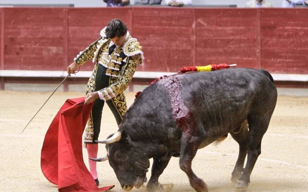 Curro Diaz grave tras una cornada en el muslo al entrar a matar