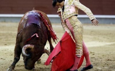 Curro Díaz se queda con seis toros en Linares esta tarde tras la baja de Morante y Manzanares