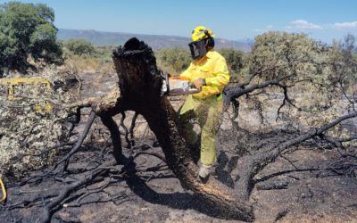 El incendio de andujar queda controlado y se desactiva el nivel de preemergencia